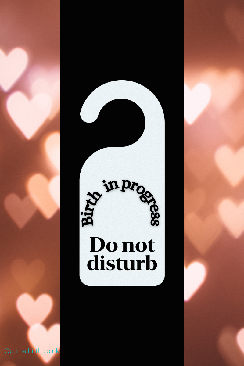 Do not disturb canva